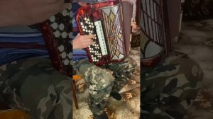 Домик окнами в сад игра на баяне.