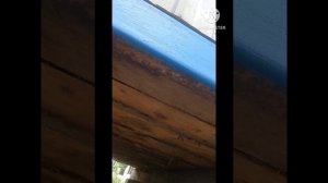 Бытовка, пол сгнил что делать? как быть? б/у бытовка пол гнилой или нет.
