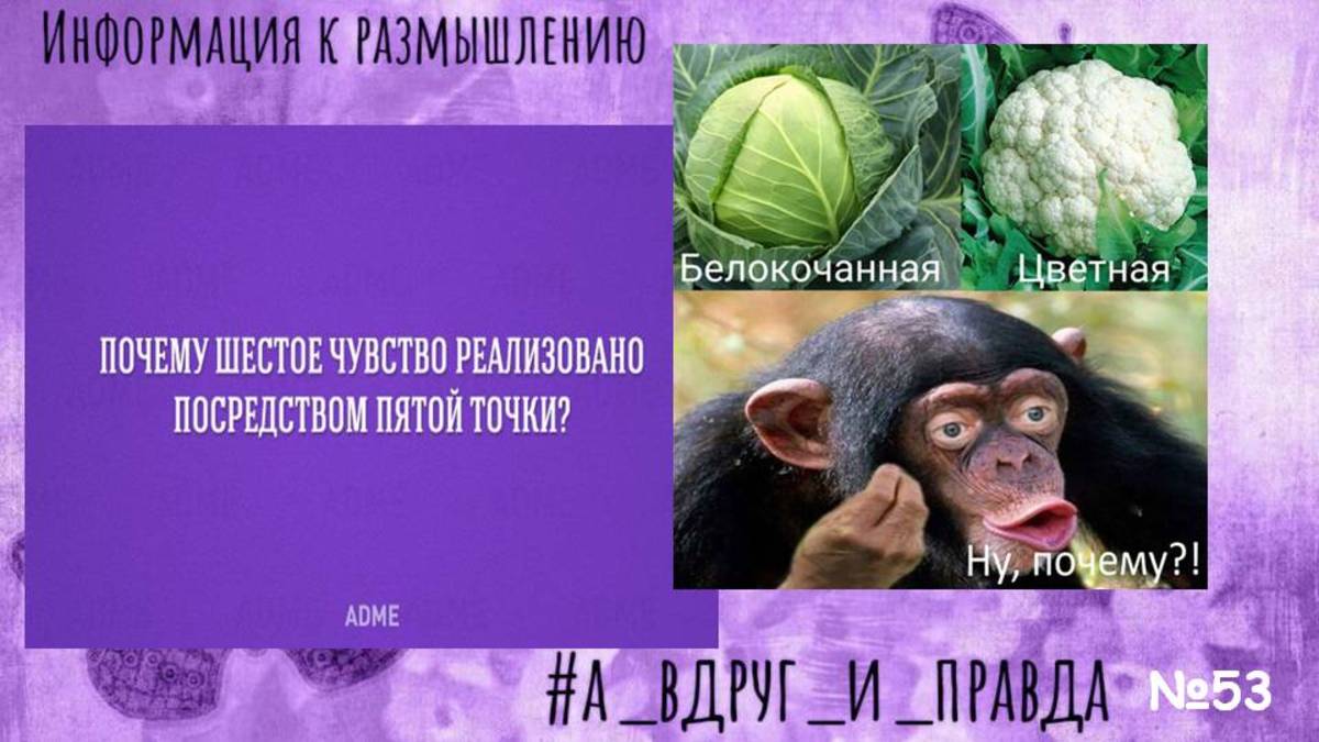 Когда мы "всё знаем", почему нет ответа? смотреть онлайн