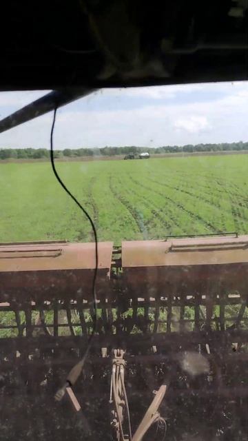 Подкормка яровой пшеницы) смотреть онлайн