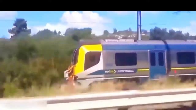 Ютуб Смешное видео новые лучшие приколы 2016 до слез Ютуб Смешное видео смотреть онлайн