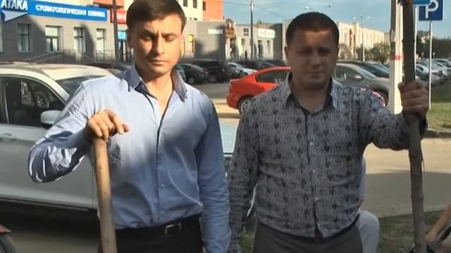 Посади свое дерево смотреть онлайн