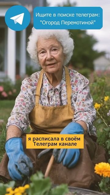 Одно растение сделает землю как пух #удобрение #овощи # смотреть онлайн