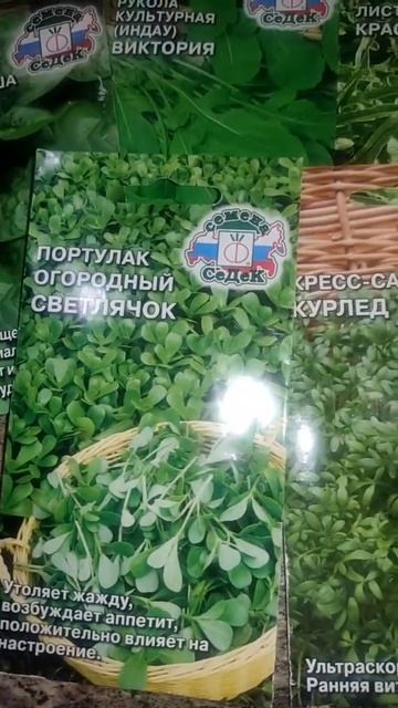Зимние витамины смотреть онлайн