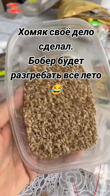 Посадка 25 год. А вы уже посадили? #томаты #цветы #садово? смотреть онлайн