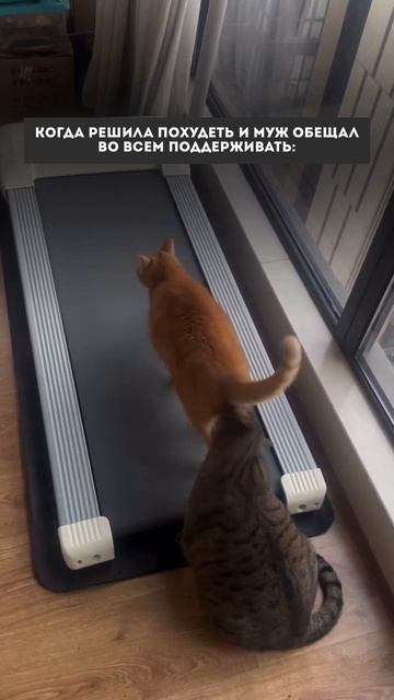 Дарю 15 рецептов вкусных пп-ужинов🍱Забрать можно в Telegram — ссылка в шапке канала (12)