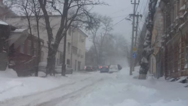 Снежок в Ростове 2(4)