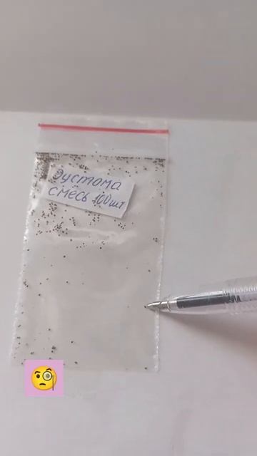 Семена как пыль... #семена#цветы#эустома смотреть онлайн