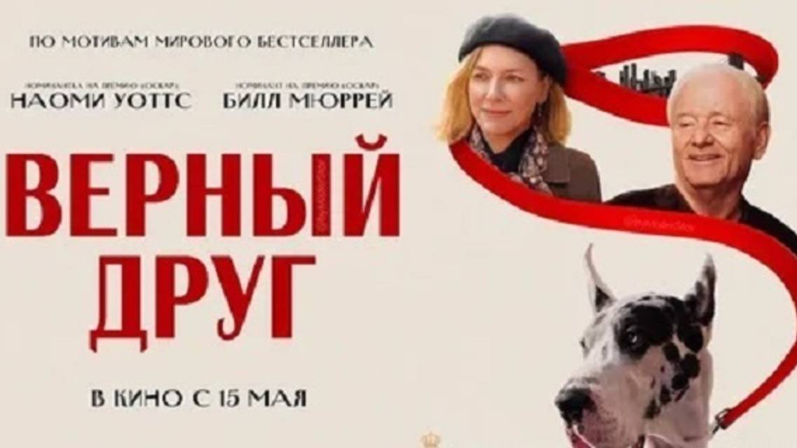 Верный друг / The Friend (2025) Трейлер №1 смотреть онлайн