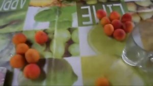 Выращивание абрикоса в Сибири  40°С