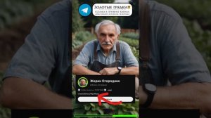 Крахмал и мёд – рассада томатов больше не вытянется #с