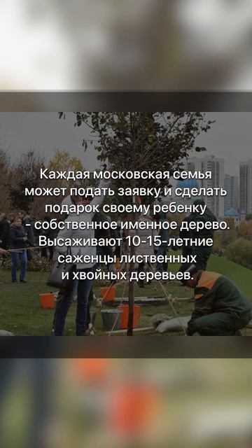 🌳Ты можешь посадить именное дерево для своих детей смотреть онлайн
