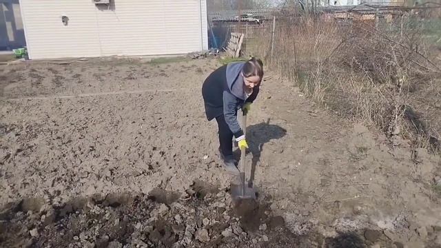 16 марта , не рано сажать? смотреть онлайн
