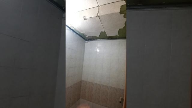 обдирка обоев клеим потолки часть17