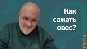 Как сажать овес? Валерий Кузенков об облагораживании полей для прикормки.