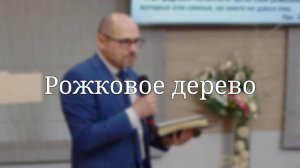 «Рожковое дерево» — Детская страничка