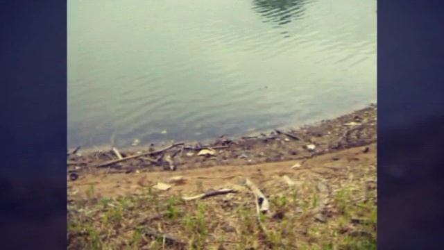 Ужас!Не верю! смотреть онлайн