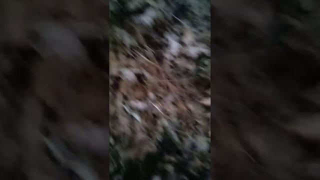 поднимаешься на гору чек смотреть онлайн