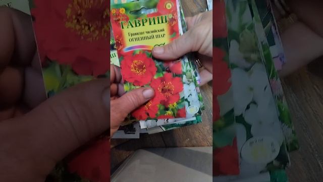Семена цветов 2025, душа просит весны! смотреть онлайн