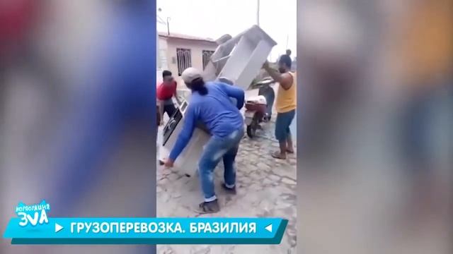 11 МИНУТ СМЕХА ЛУЧШИЕ ПРИКОЛЫ ДЕКАБРЬ 2019 Дядя у вас белка смотреть онлайн