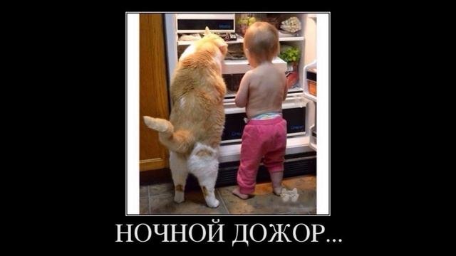 Детские приколы #5 смотреть онлайн