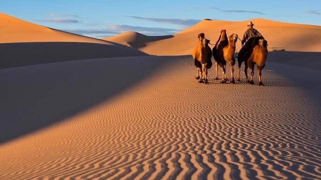 🔥 10 УДИВИТЕЛЬНЫХ ФАКТОВ о МОНГОЛИИ: такого ты точно н? смотреть онлайн