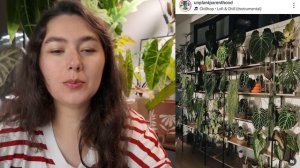 КАК КРАСИВО разместить в квартире МНОГО РАСТЕНИЙ | рас