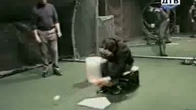 Видео на биз смешное видео смешное видео смотреть онлайн