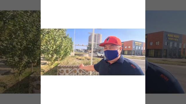 Клумбы цветами только место цветов  растёт трава зелё?