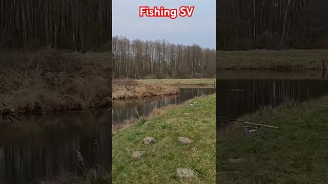 Рыбалка на Лесных Озёрах. В ожидании клёва. 30.03.2025. #4k #vid