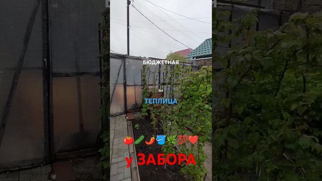 Это ЮЖНЫЙ УРАЛ ❄️❄️❄️ 🍅🥒🌶️🪣🌿💯❤️... смотреть онлайн