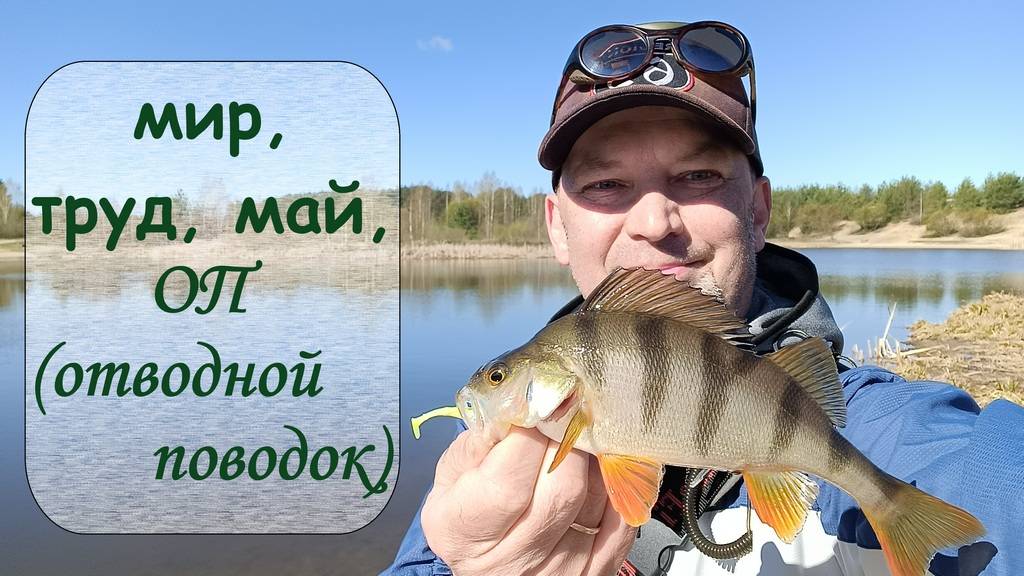 мир, труд, май, ОП (отводной поводок) смотреть онлайн