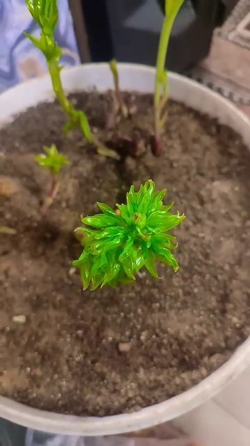 25 февраля 2025 г. смотреть онлайн