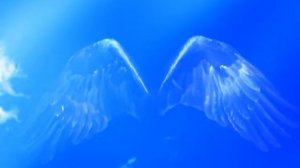 крылья дружбы