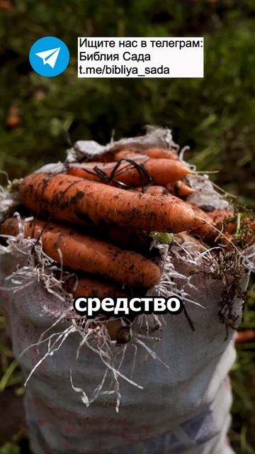 Жалею, что раньше не знал это не затратное средство дл? смотреть онлайн