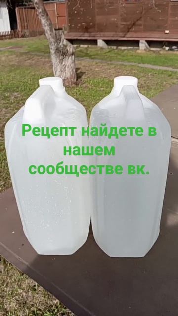 Кратово, Поповка 28. тел питомника: 89654147008  #цветы #крато?