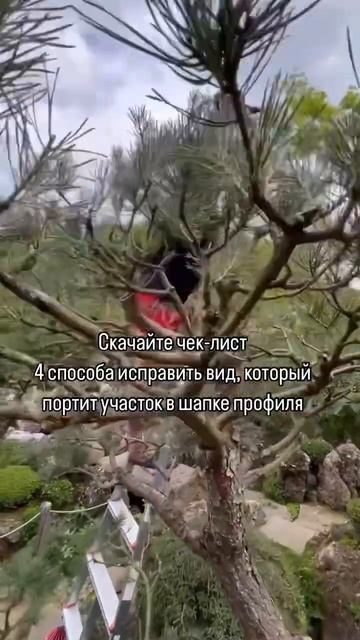 15 октября 2024 г.