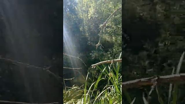 про пруд смотреть онлайн