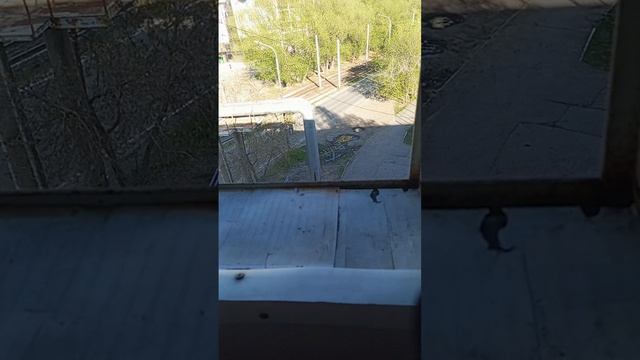 обзор на пистолет с пистонами