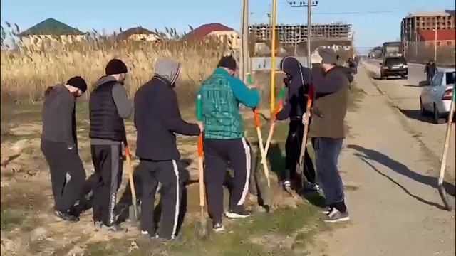 Деревья посадка смотреть онлайн