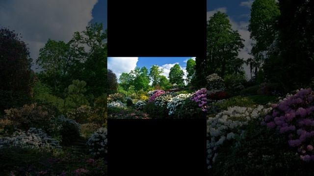 Важно выбрать правильное место для своих растений на ? смотреть онлайн