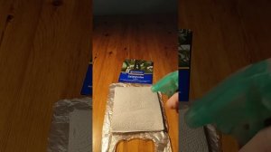 Как прорастить семена огурцов и помидоров – простой с