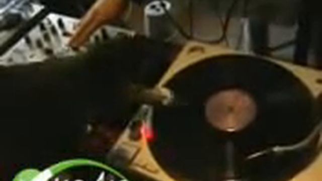 Приколы страшилки(1) смотреть онлайн