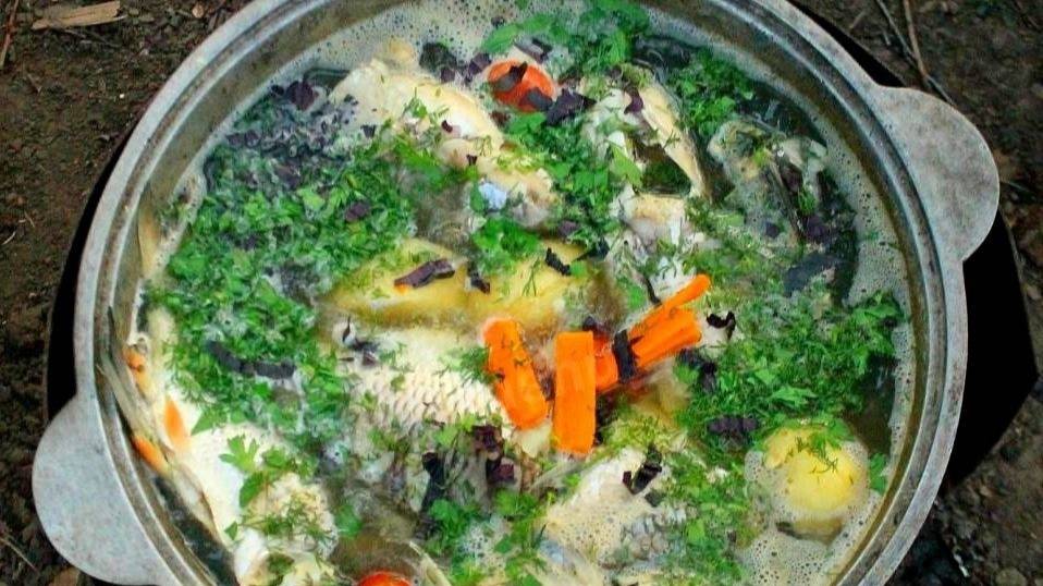 семейные хлопоты