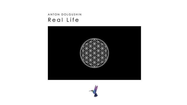 Anton Dolgushin - Real Life