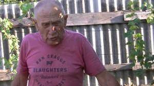 Виноград Мускат медовый.