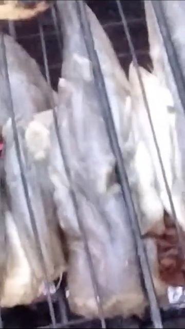 кабачки, рыба на мангале+ быстрое подкопчивание!!! попр смотреть онлайн