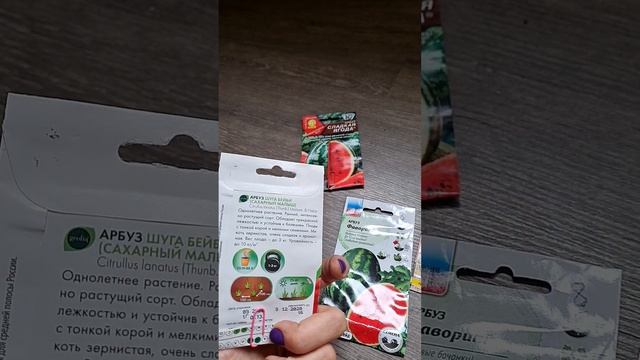 Про семена арбузов #арбузики #рассада #рассадаарбузов смотреть онлайн