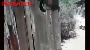 Шрек выходит из туалета  ОЖИДАНИЕ/РЕАЛЬНОСТЬ