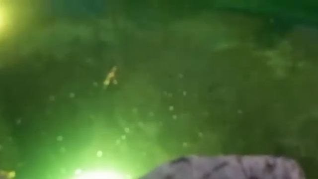 Солнечный Берег.Болгария